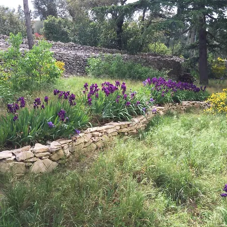 Eden * Nîmes