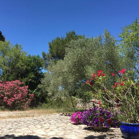 Eden Nîmes