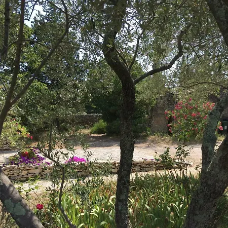 Eden Νιμ